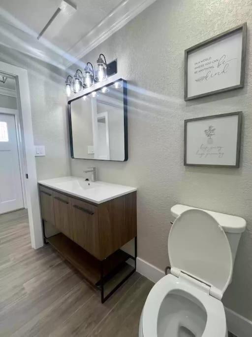 Alluring Luxury Oasis, Modern Comfort & Relaxation Wellington Bagian luar foto